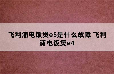 飞利浦电饭煲e5是什么故障 飞利浦电饭煲e4